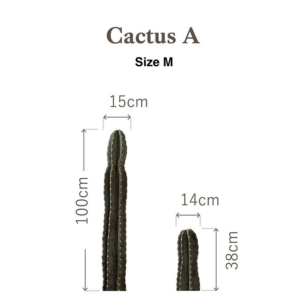 Botanical Sticker | Pillar Cactus A